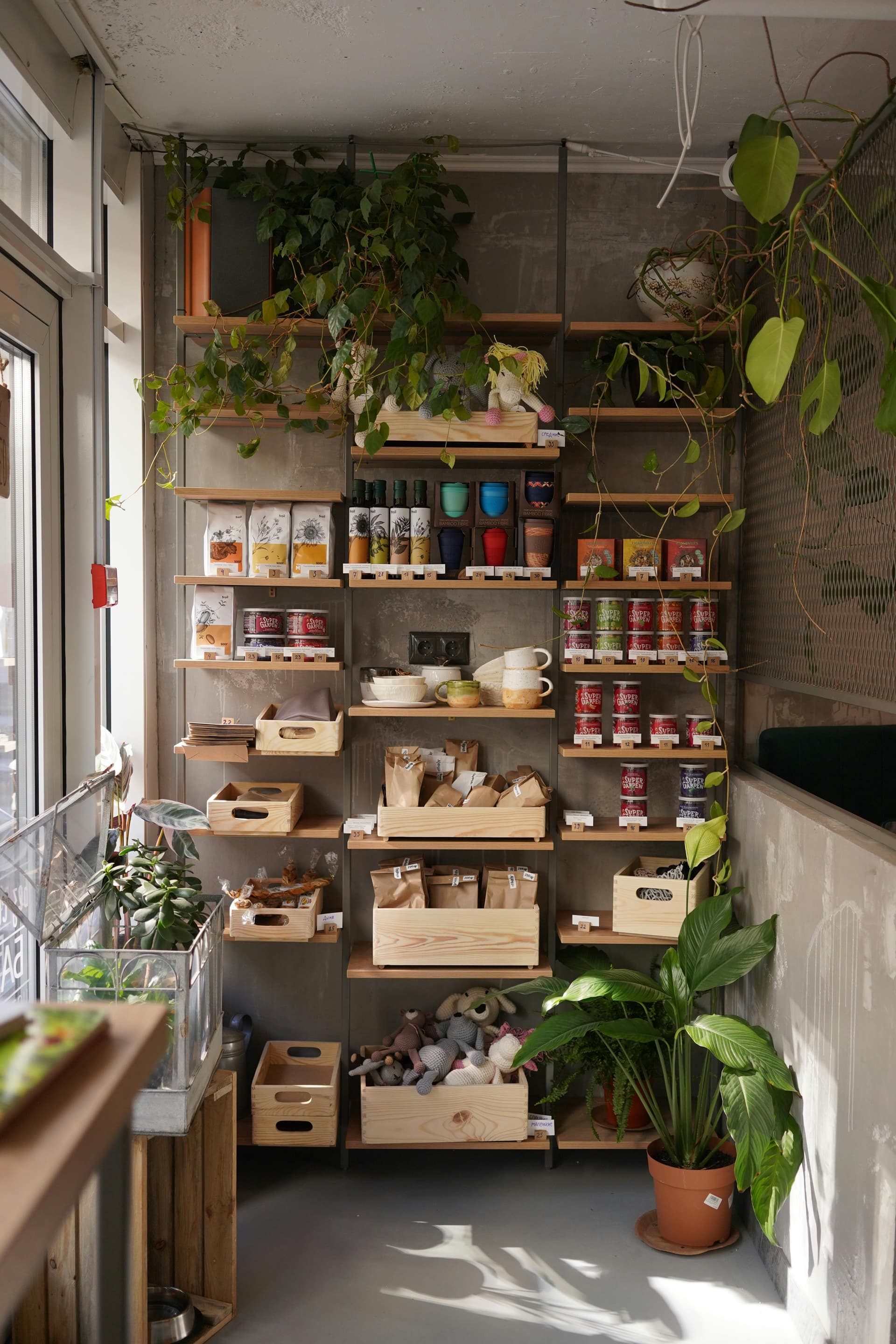 Pantry Clean-Out: Turn Leftovers Into Delicious Dinners with AI